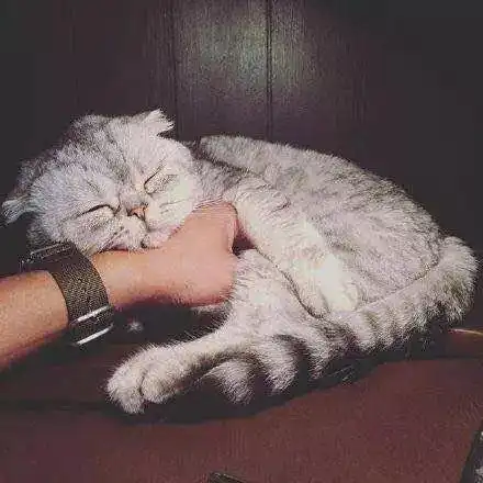 像极了没有对象的我 像极了没有对象的我