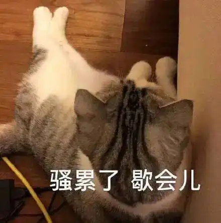  有哪些朋友圈高赞的沙雕句子
