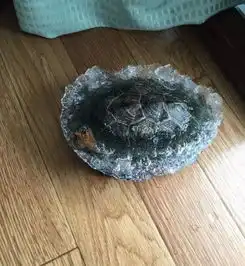  搞笑图片笑话段子你嫌我胖了是不是