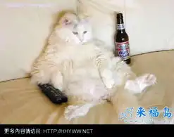  图片笑话笑话大全第4975页