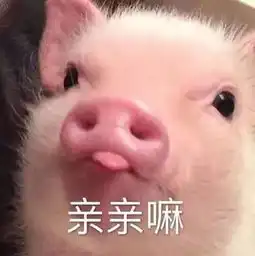  段子逃课挂科谈恋爱喝酒,你哪件事没做过逃课,我们要