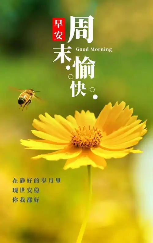  现世安稳,你我都好,早安朋友周末愉快