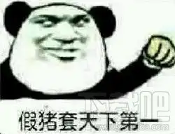 套路表情包一套猪假猪套