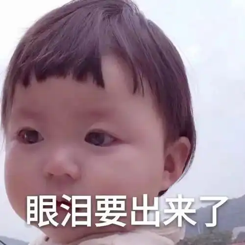  我爸说我有钱就去养明星