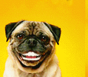 在ktv认识的妹子,穿成这样,谁能忍得住啊  在ktv认识的妹子,穿成这样,谁能忍得住啊