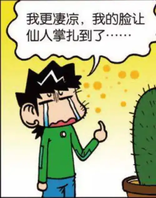  搞笑呆头和旺财a仔参观植物园,周围好多仙人掌