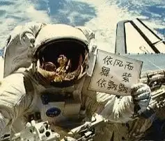  紫依飘飘的博客安mtime时光网