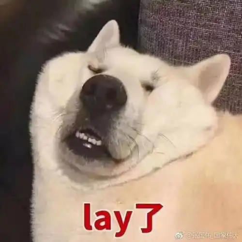 我能想到最尴尬的事,就是和你一起一起看这部电影