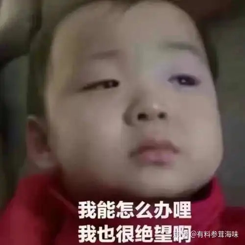  鱼胶品种的价格幕后是怎么样的