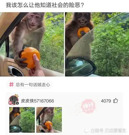  神回复以前老房都会有门槛,是有什么作用或者寓意