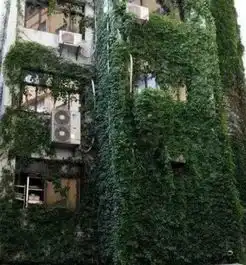  局长出差回来,想给妻子个惊喜,敲门说是送外卖的,谁知