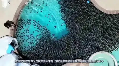 玩个球啊搞笑图片游泳池
