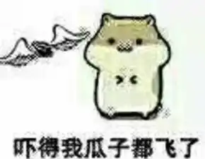  南都娱乐周刊
