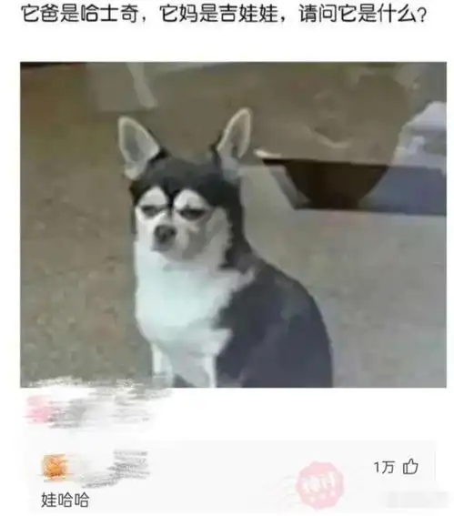  如何一句话激怒食堂大妈评论区都是人才啊