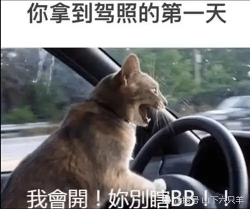  搞笑趣图当你表白失败后,你好兄弟的反应,太真实了