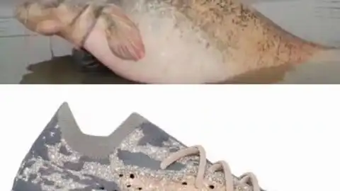  传说丑到没朋友的yeezy380肥鲶鱼满天星开箱