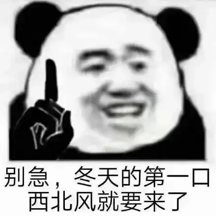  肾不行不要和我讲话熊猫头表情包