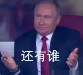 摊手表情包无字俄罗斯