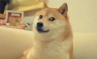  求一张doge原图高清壁纸