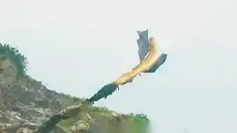宝剑图片 搞笑避雷针
