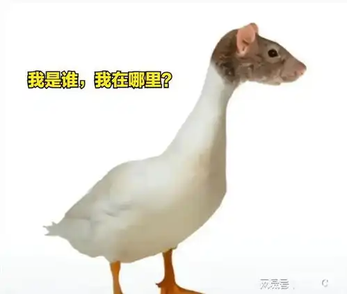  现代版指鹿为马老鼠头经过鉴定是长了牙齿和胡须的鸭脖