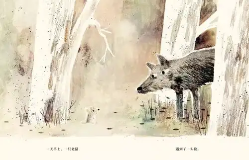  金图姐姐讲故事丨狼鸭子和老鼠神奇的肚子