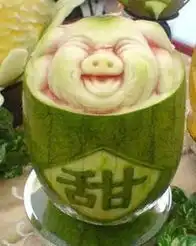  奔跑的萝卜爆红网络植物也能如此搞笑