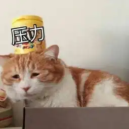 2018微信搞笑动态图片句