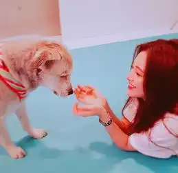 晚安心语181224愿我一生欢喜,不为世俗所及  晚安心语181224愿我一生欢喜,不为世俗所及