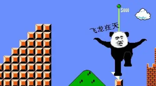  恶搞超级玛丽表情包乱入马里奥世界,还想单挑