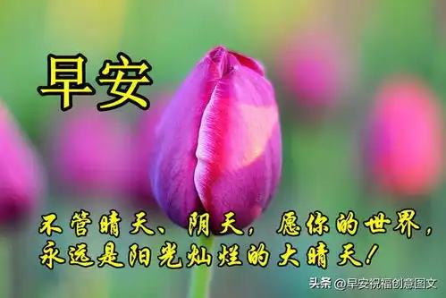  8月16日周五早上祝福图片,望温馨清晨问候伴您,祈愿顺遂安康