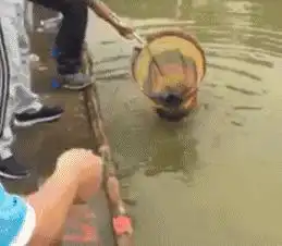  高兴早了
