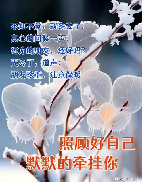  寒冬腊月深冬清晨的幸福问候,带给你一天温馨与美好