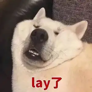  湖言湖语我与快递不得不说的二三事