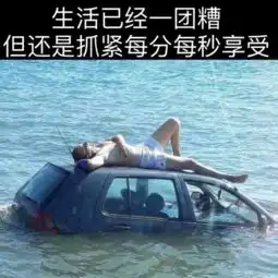 博学的各位见过这种鸟吗每日轻松一刻7月19日晚间版