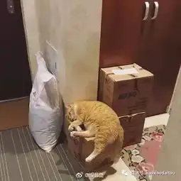 一个常识是打架说普通话是对看热闹的人的基本尊重