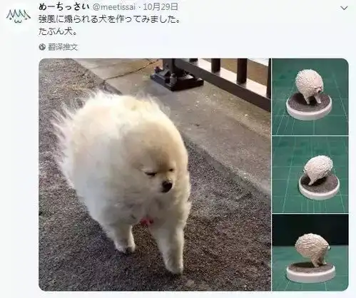 日本人图片搞笑带字动物