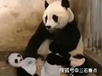  搞笑段子离婚就离婚,房给你,车给你,儿子给你,我也给你