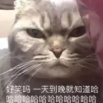  人见人爱的萌宠表情包
