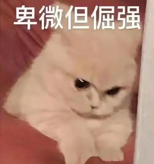  读书破万卷考研热当下学子艰难求学,如何进行有效的复习