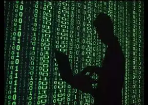  深扒土澳哪些高薪又有趣的职业亮瞎小编24k钛合金狗眼