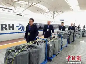  高铁快运集中秀双11系中国铁路运输首次图