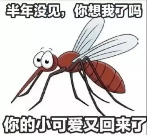  健康知识为什么被蚊子叮的总是你
