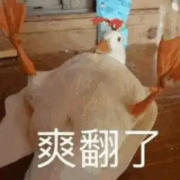  网红比心鸭子表情包哪里有最新最全比心鸭子表情包分享