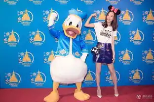  数星星胡歌孙俪姚明彭于晏都去迪士尼了