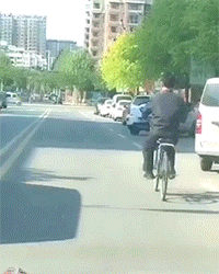  这是本店最高级的服务把持不住的福利动态图