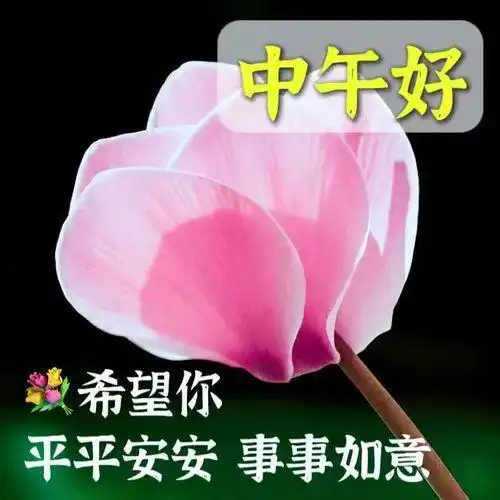  中午好图片大全,中午好问候,中午好祝福,祝你幸福快乐,平安健康清晨早安网易订阅