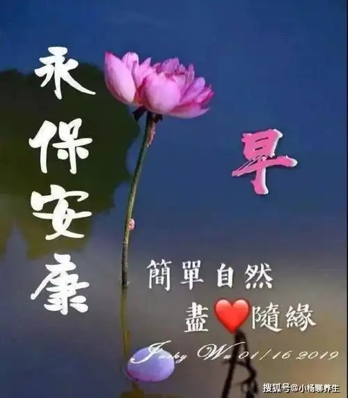  清晨早上好图片问候祝福语句子,愿你微笑今天,快乐永远