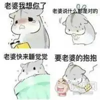  抱着媳妇睡觉的表情包微信头像图片大全