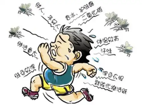  理解蚊子上这几种人,更容易被蚊子叮上